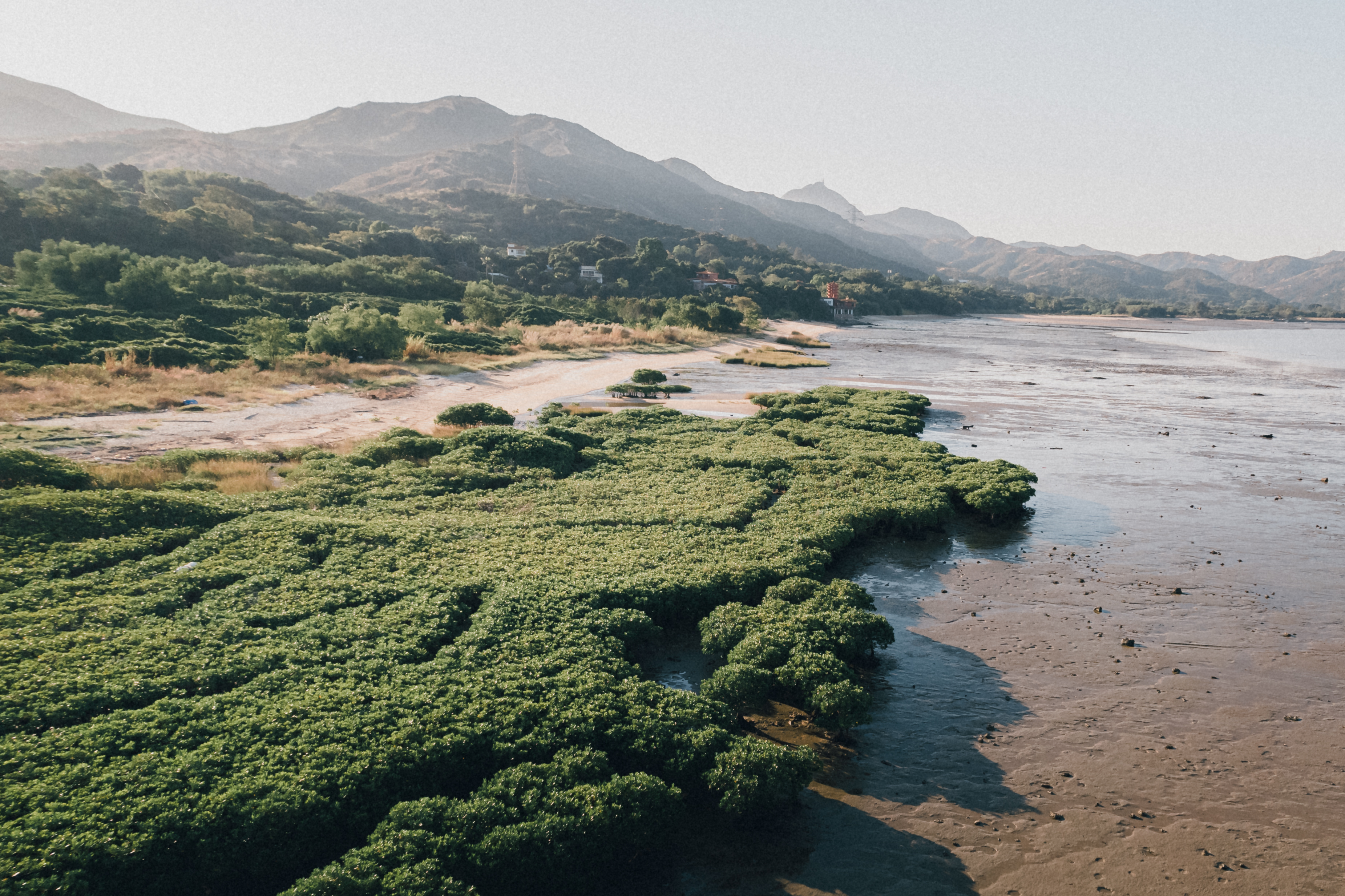 Of Pak Nai, Hong Kong