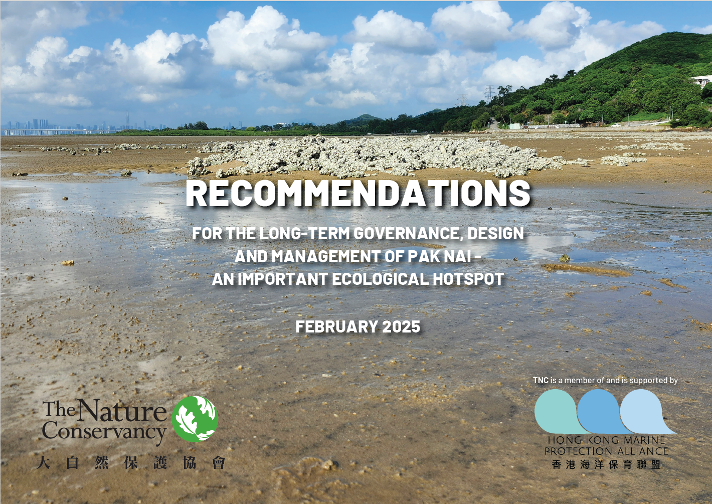 For long-term governance, design and management of Pak Nai - an important ecological hotspot