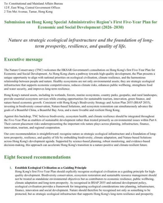 Submission on Hong Kong Special Administrative Region’s First Five-Year Plan for Economic and Social Development (2026–2030)